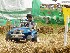 Power Wheels Jeeps